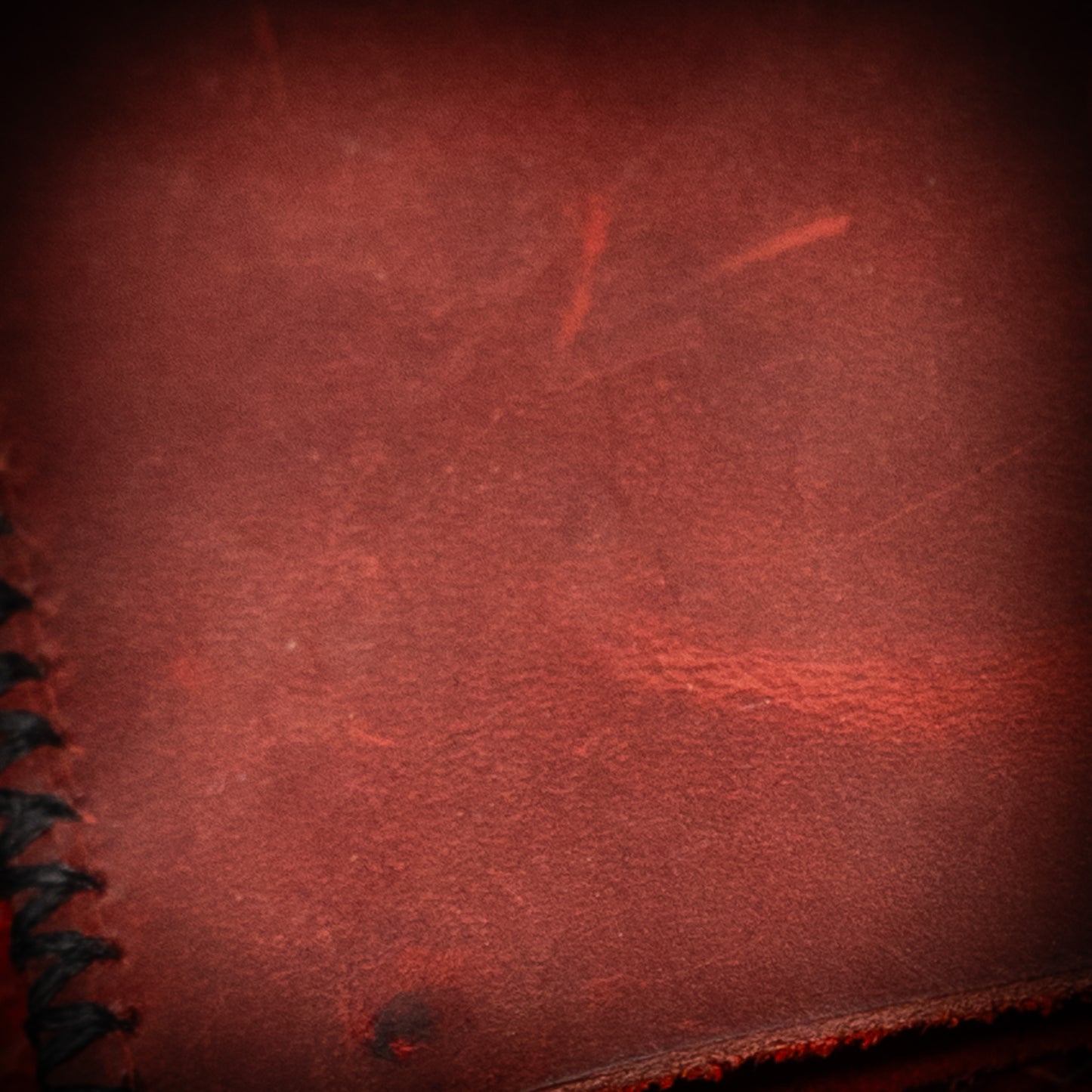 RAPTILIAN WALLET