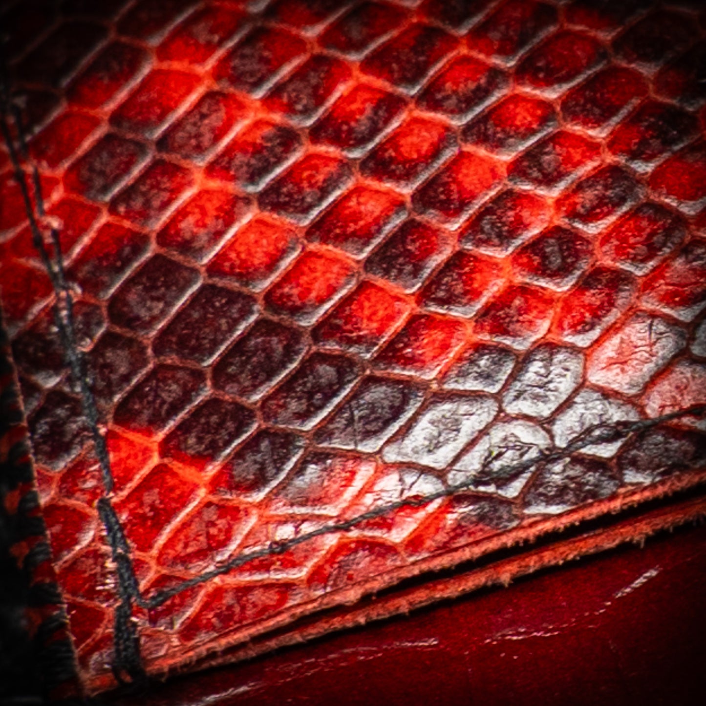 RAPTILIAN WALLET